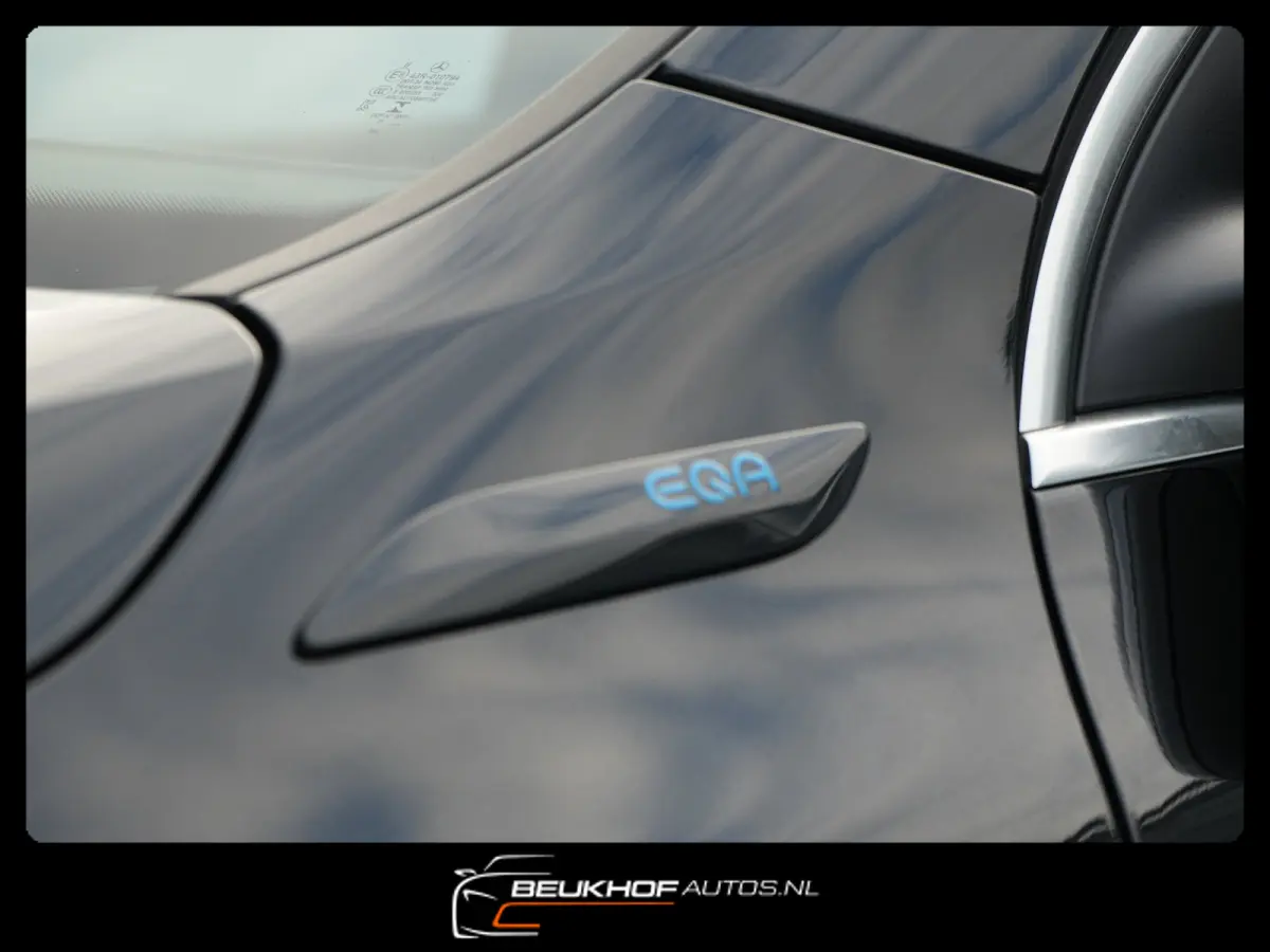 250 Business Luxury 67kWh Pano Leer Soh95%