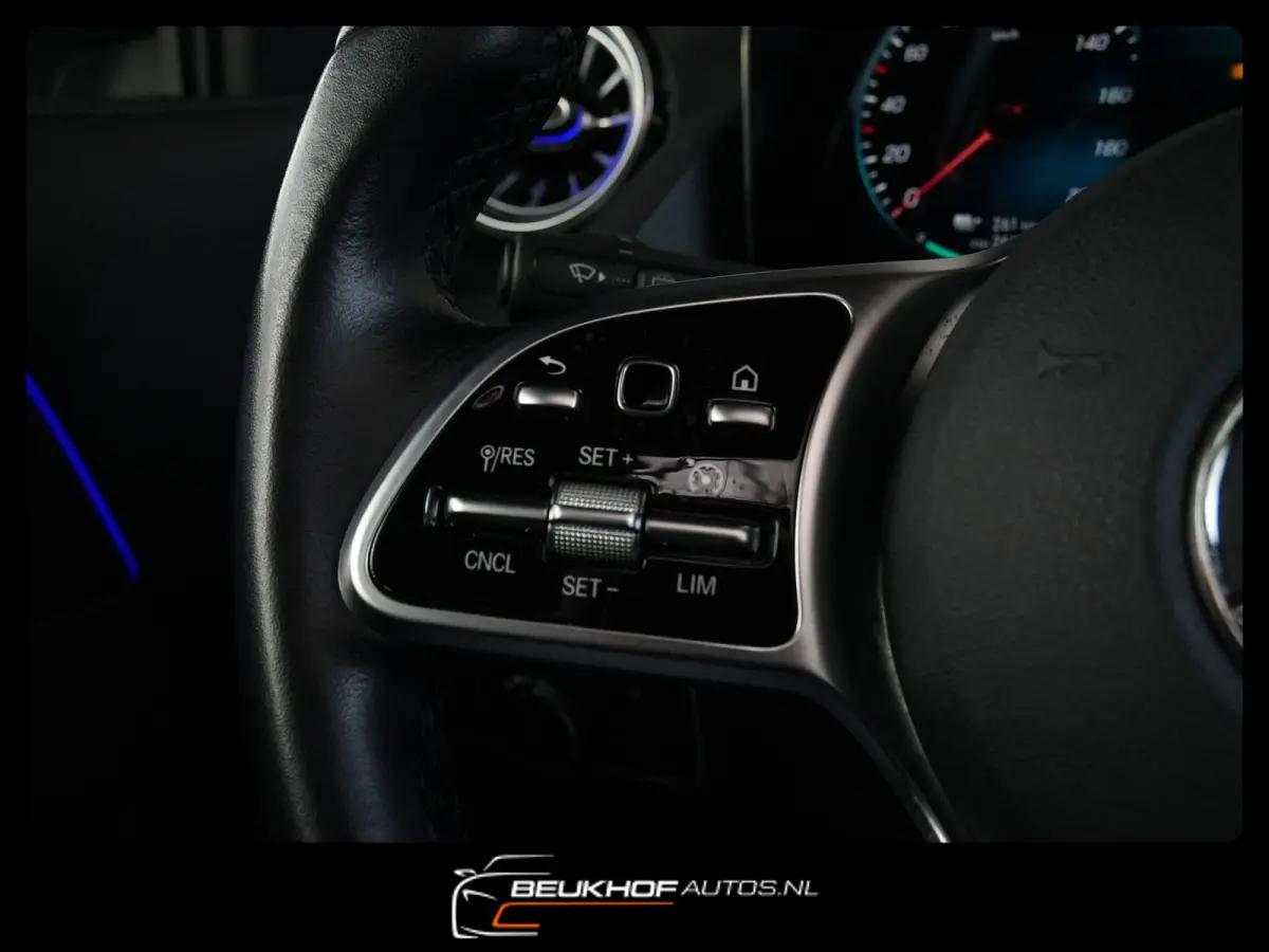 250 Business Luxury 67kWh Pano Leer Soh95%