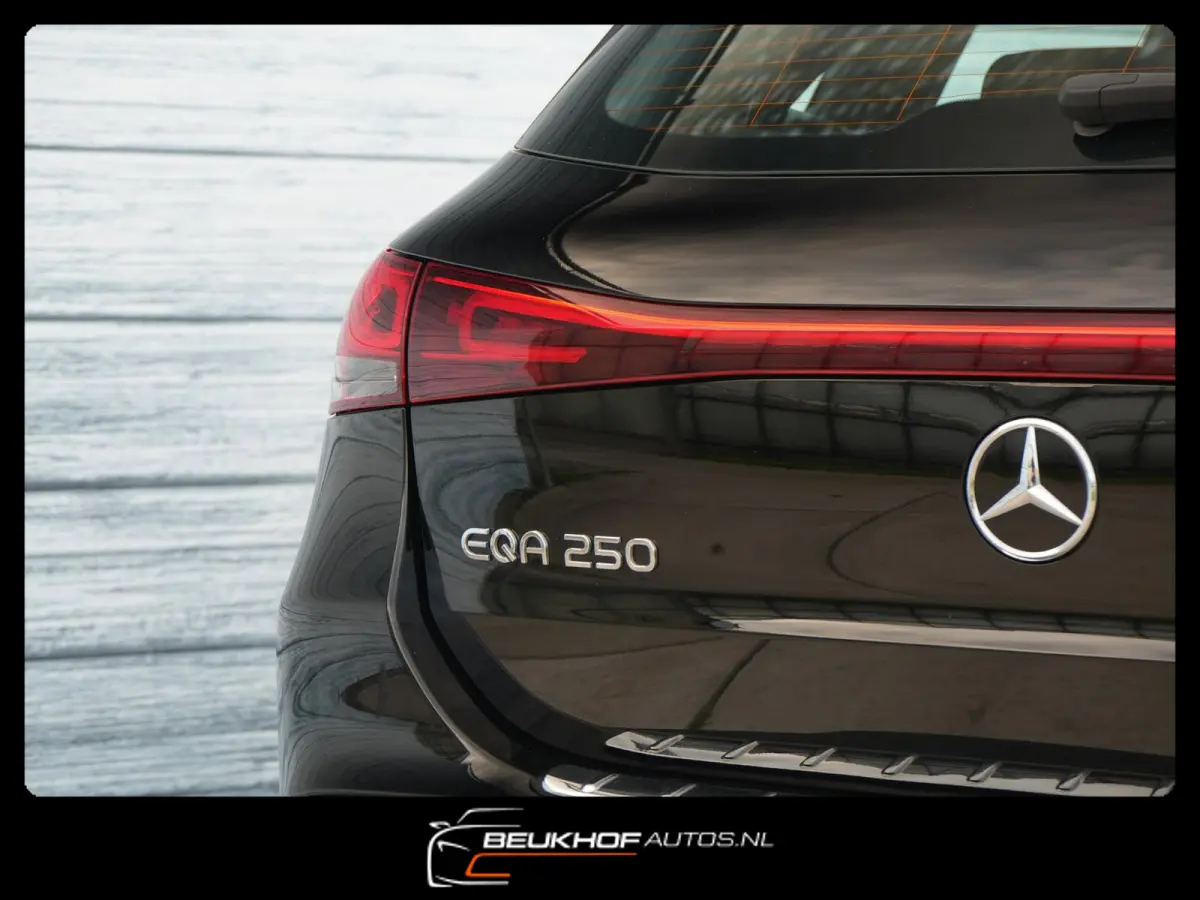 250 Business Luxury 67kWh Pano Leer Soh95%
