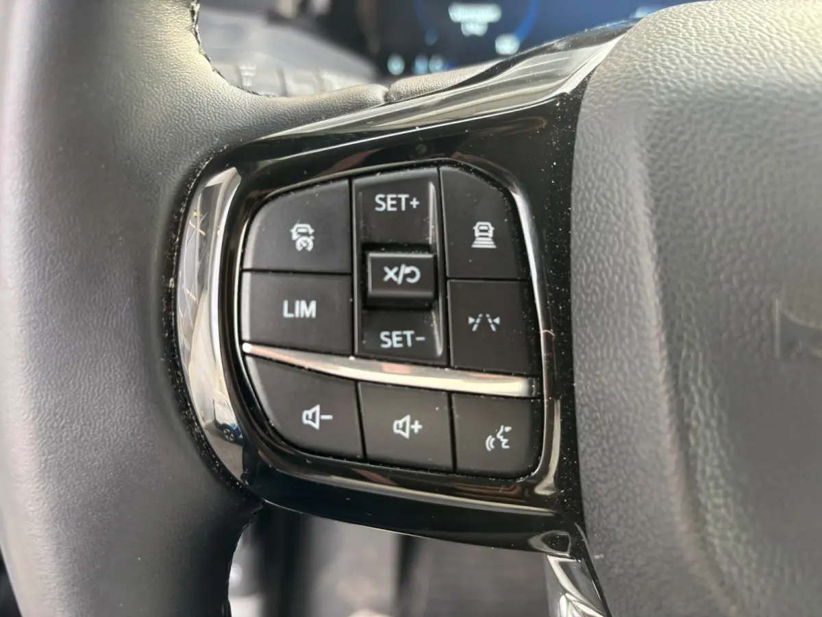 320 2.5 PHEV L2H1 Limited DC