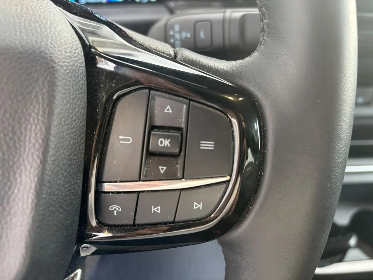 320 2.5 PHEV L2H1 Limited DC