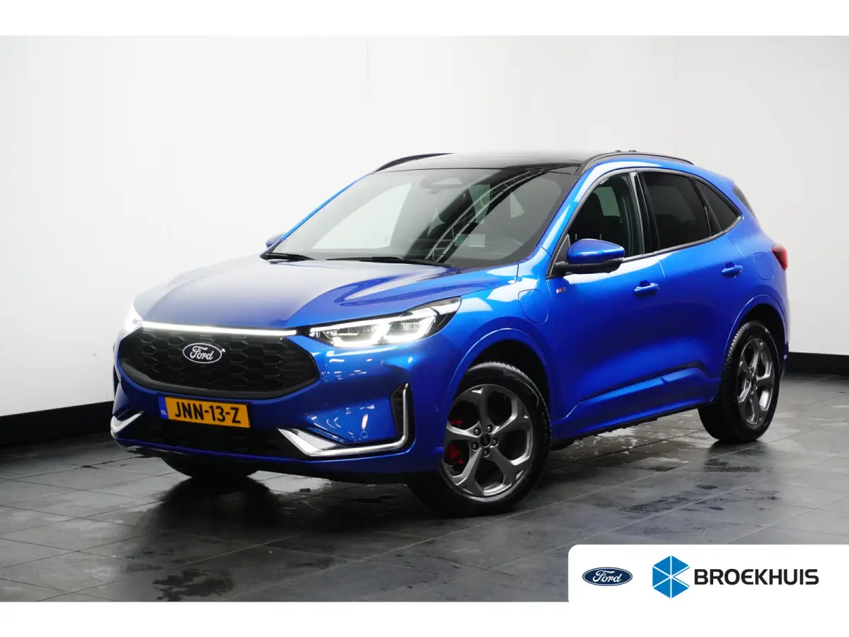 2.5 PHEV ST-Line X | Full options incl. Trekhaak