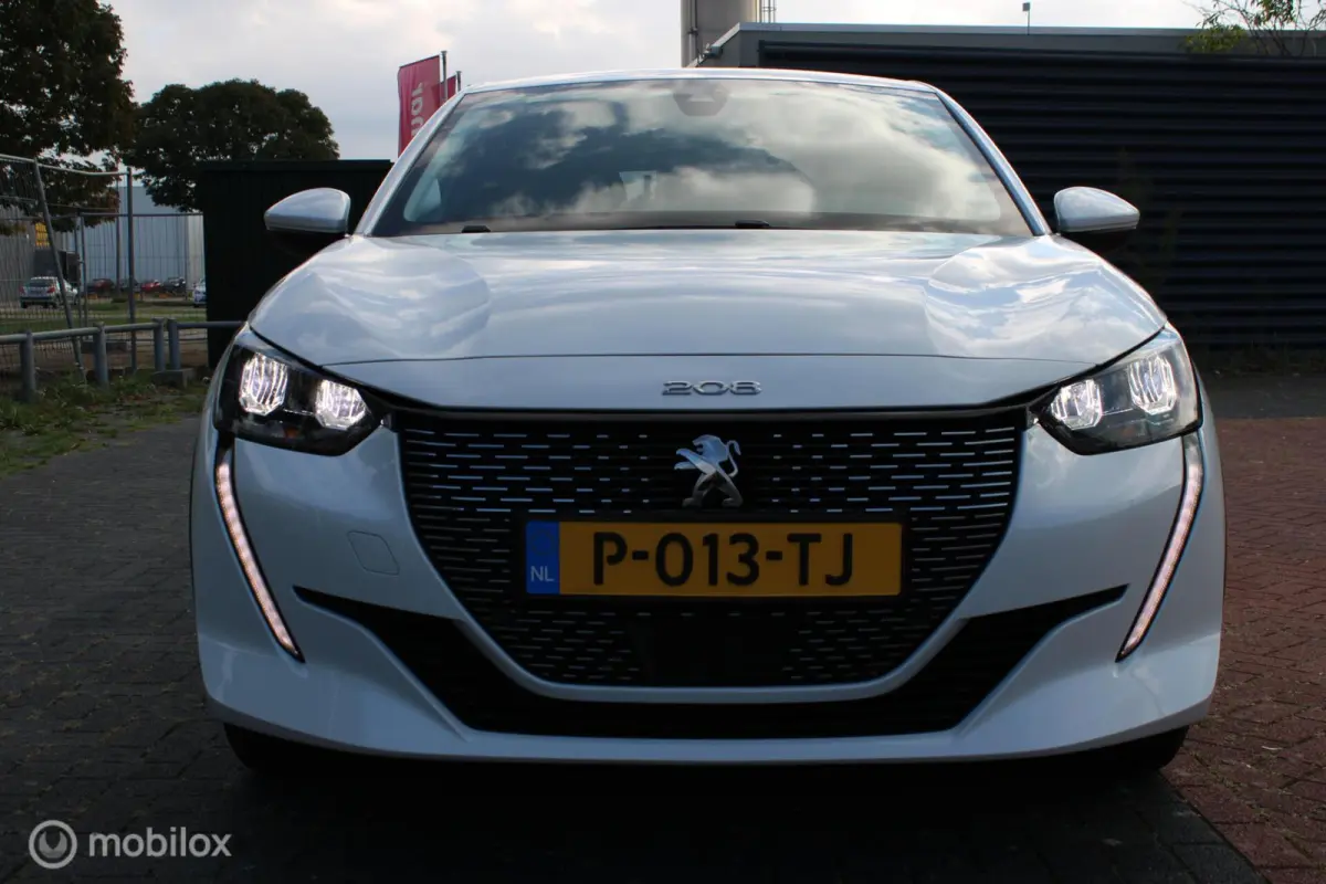 EV Active Pack 50 kWh, Wit parelmoer, Donker glas, Navi, App connect, Cruise, Pdc + camera