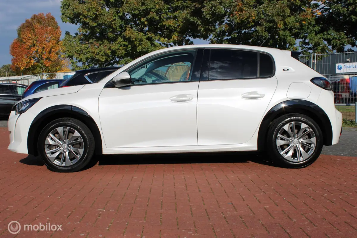 EV Active Pack 50 kWh, Wit parelmoer, Donker glas, Navi, App connect, Cruise, Pdc + camera