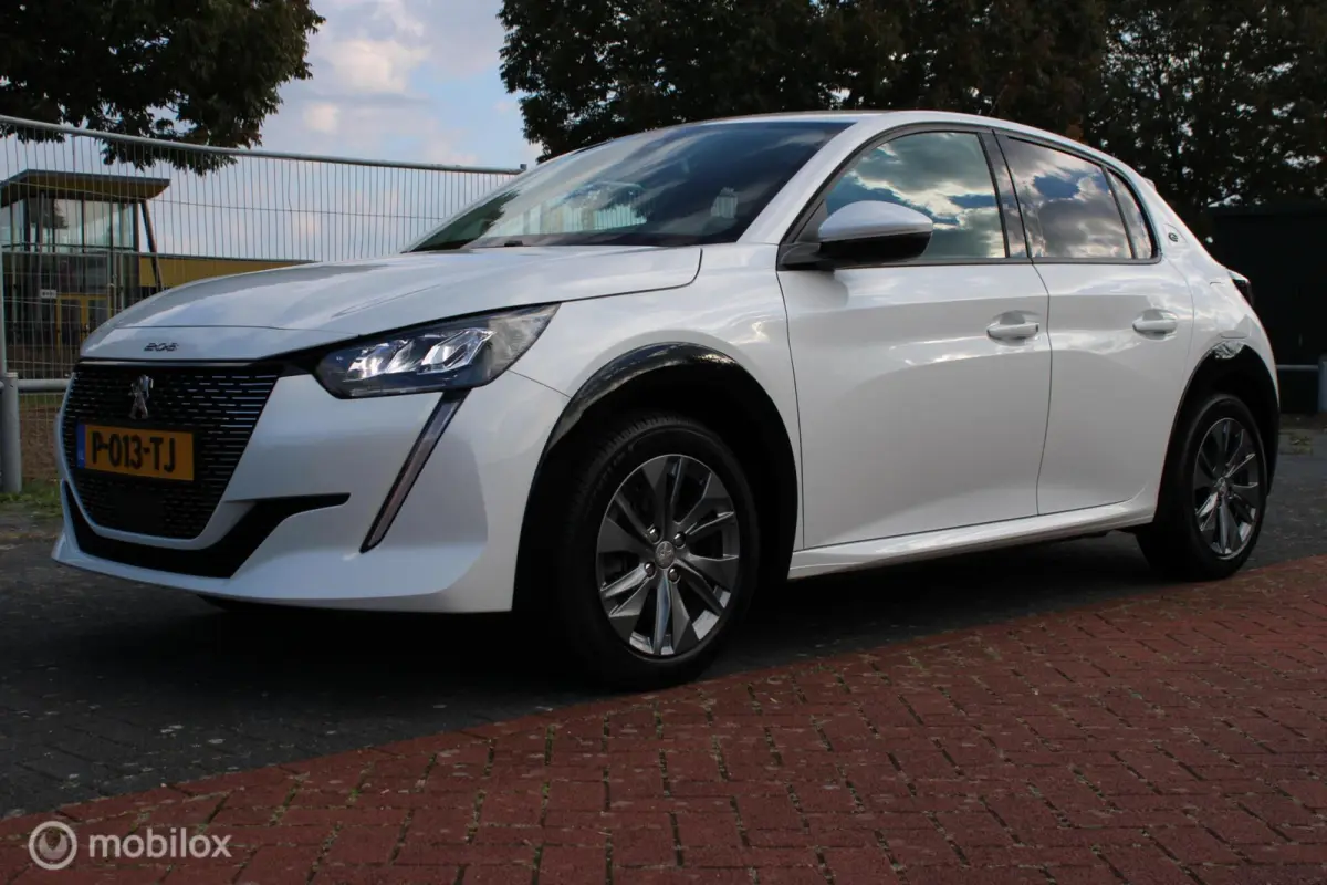 EV Active Pack 50 kWh, Wit parelmoer, Donker glas, Navi, App connect, Cruise, Pdc + camera