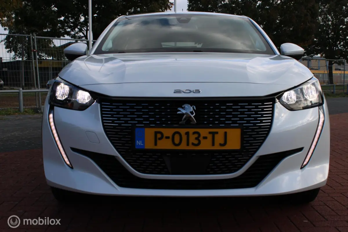 EV Active Pack 50 kWh, Wit parelmoer, Donker glas, Navi, App connect, Cruise, Pdc + camera
