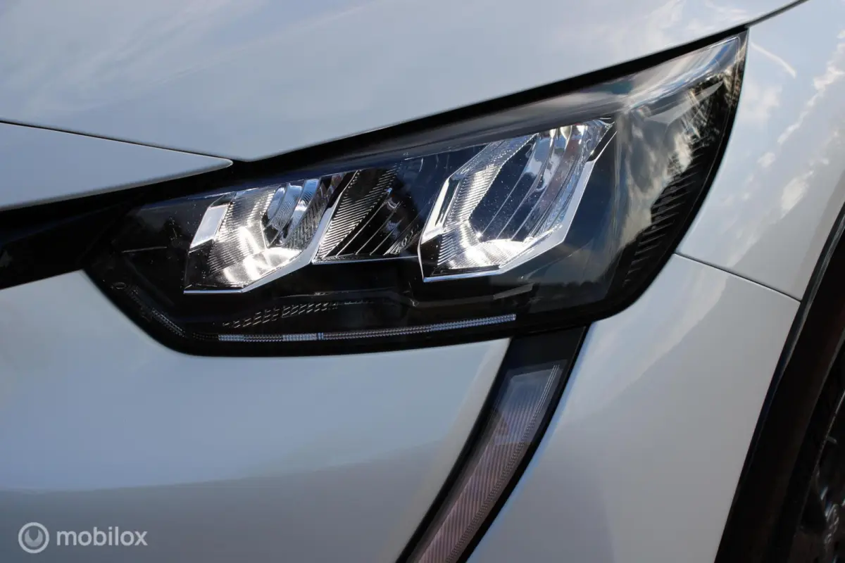 EV Active Pack 50 kWh, Wit parelmoer, Donker glas, Navi, App connect, Cruise, Pdc + camera