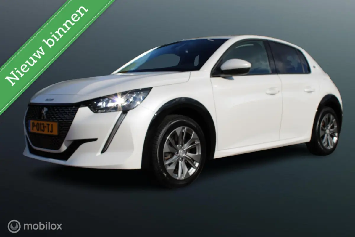 EV Active Pack 50 kWh, Wit parelmoer, Donker glas, Navi, App connect, Cruise, Pdc + camera