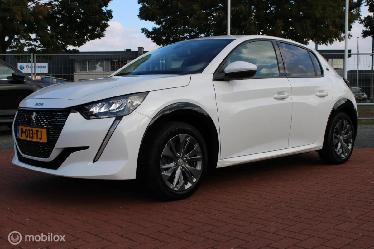 EV Active Pack 50 kWh, Wit parelmoer, Donker glas, Navi, App connect, Cruise, Pdc + camera