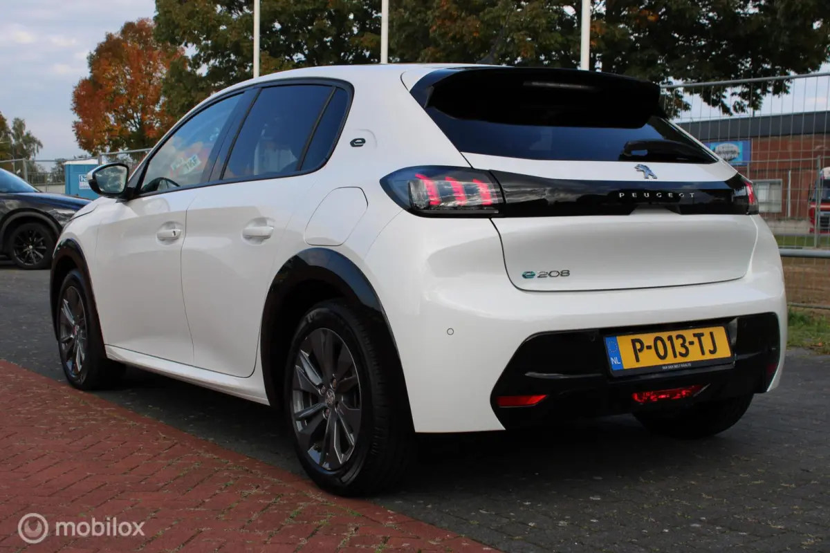 EV Active Pack 50 kWh, Wit parelmoer, Donker glas, Navi, App connect, Cruise, Pdc + camera