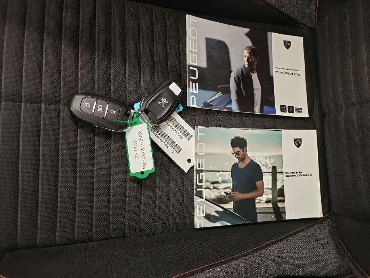 EV Active Pack 50 kWh SOH 92% | 1e Eigenaar | Dealer Onderh | BTW | NL-Auto | Camera | Navi | 3 FASE | | Bots | Cruise | DAB | Led | Start-Stop | Hill-Hold