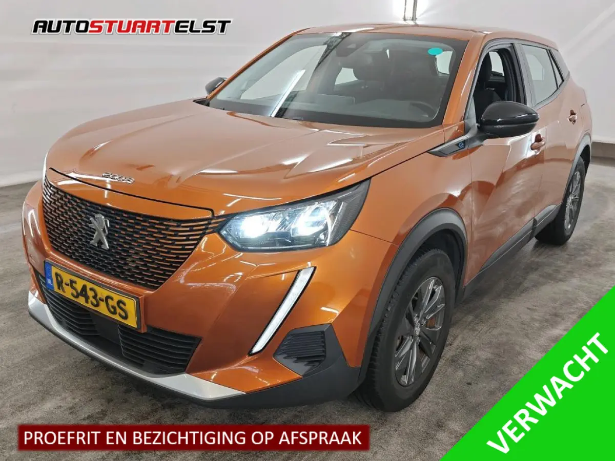 EV Active Pack 50 kWh SOH 92% | 1e Eigenaar | Dealer Onderh | BTW | NL-Auto | Camera | Navi | 3 FASE | | Bots | Cruise | DAB | Led | Start-Stop | Hill-Hold