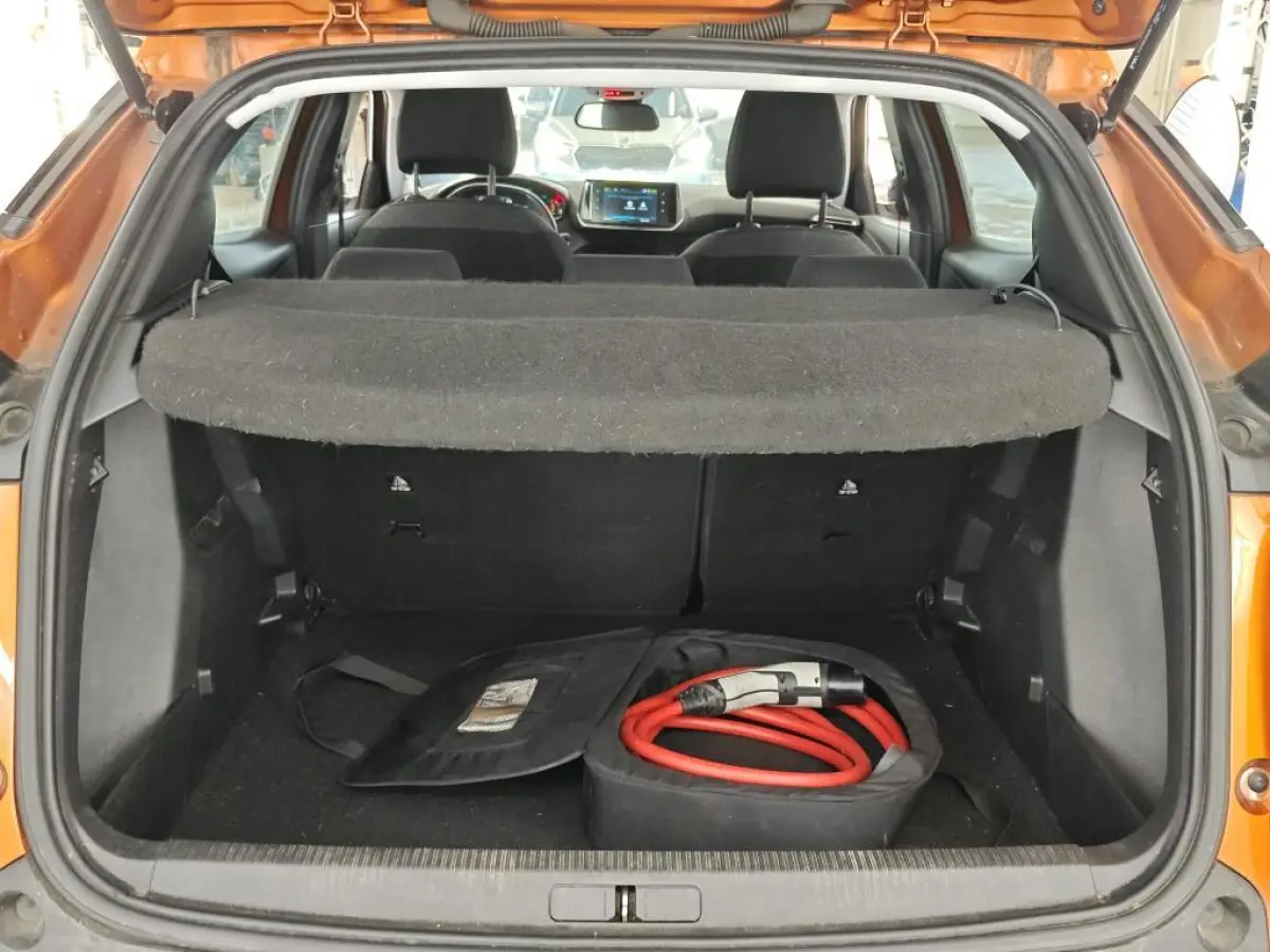 EV Active Pack 50 kWh SOH 92% | 1e Eigenaar | Dealer Onderh | BTW | NL-Auto | Camera | Navi | 3 FASE | | Bots | Cruise | DAB | Led | Start-Stop | Hill-Hold