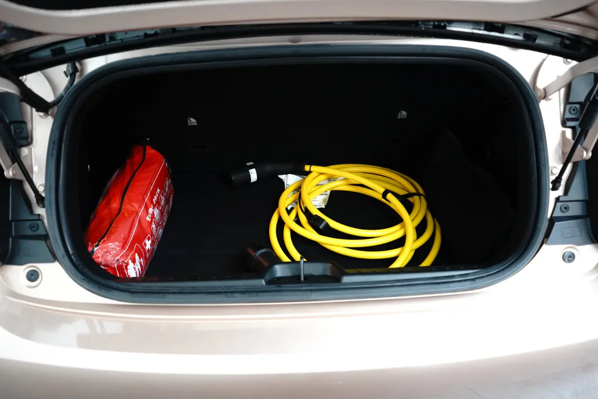 Icon 42KWH l Uniek!! Slecht 82km! l Apple Car Play/Android l Climate Control l Cr Control l Camera l Sensoren l 16" Lm Velgen l