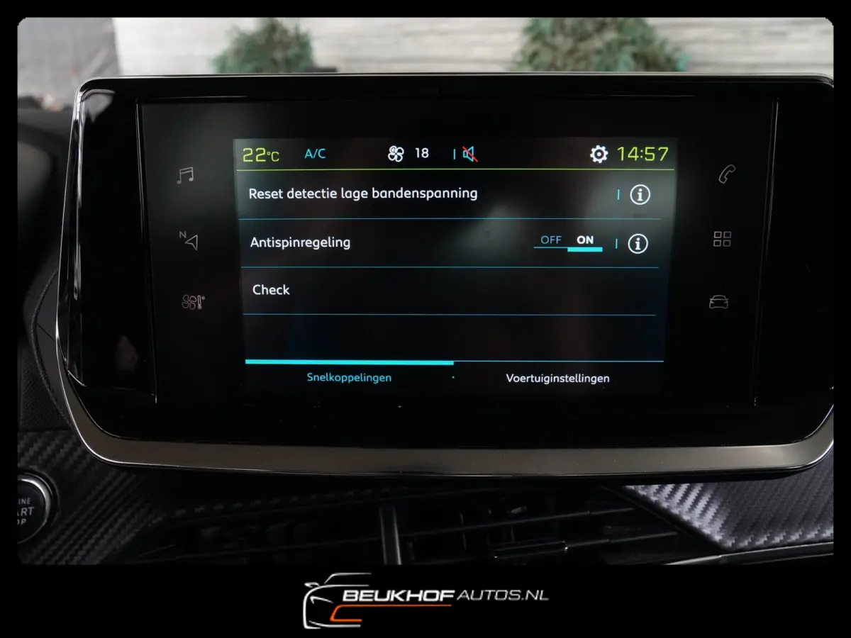 EV Active 50 kWh Carplay Navi Airco Soh90%