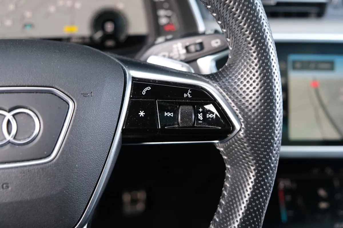 55 TFSI e quattro Competition 367pk Pano Leder Trekhaak
