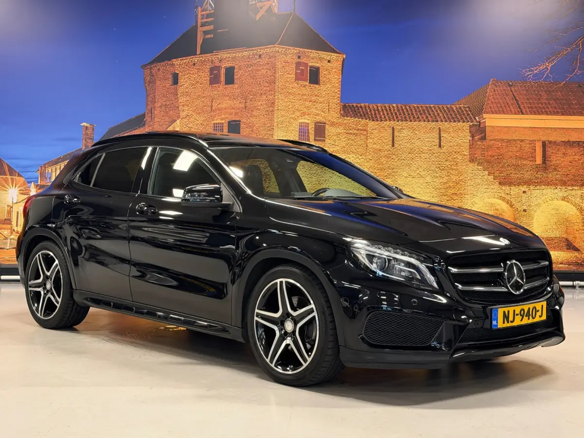 250 AMG Aut Panodak Leer H/K Camera