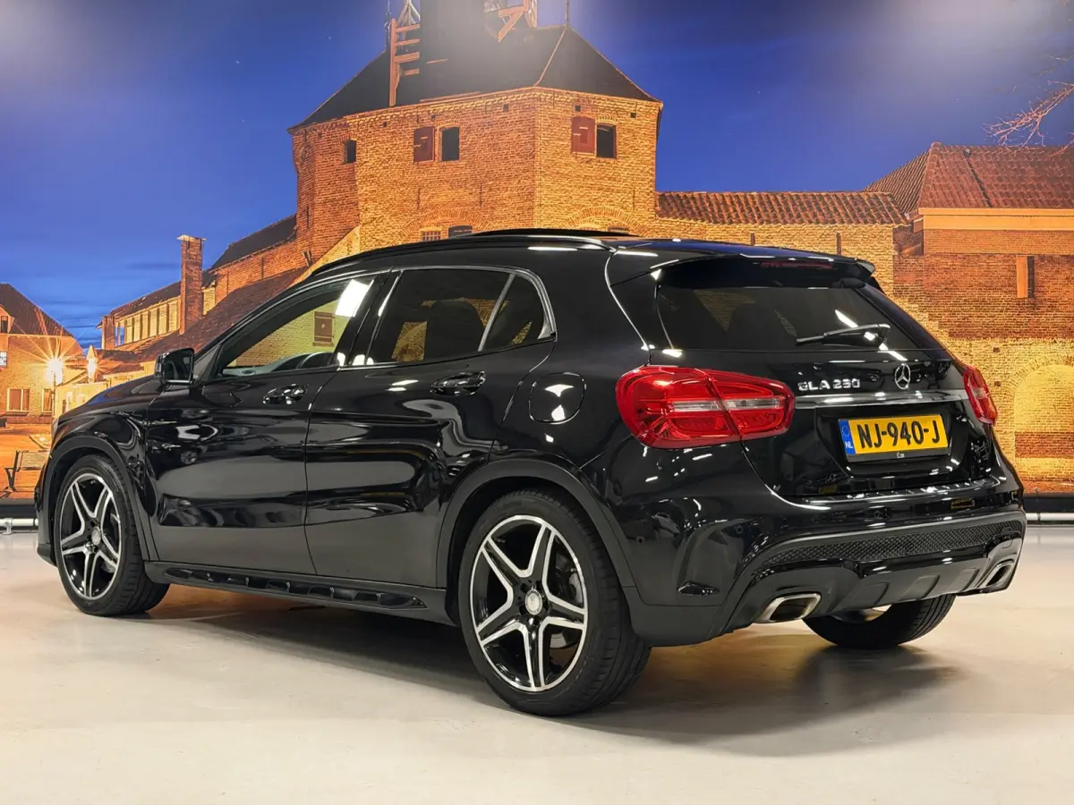 250 AMG Aut Panodak Leer H/K Camera