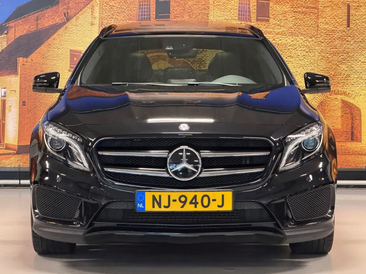 250 AMG Aut Panodak Leer H/K Camera