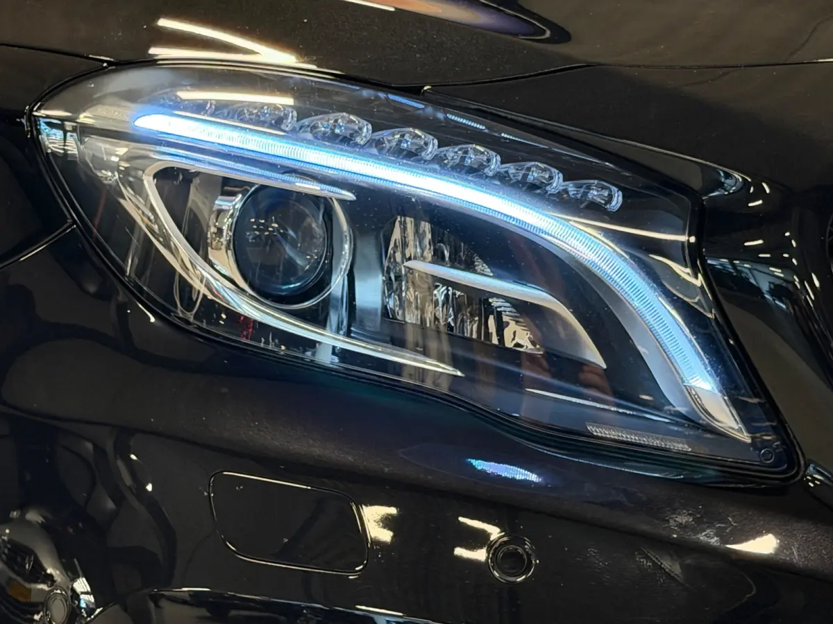 250 AMG Aut Panodak Leer H/K Camera