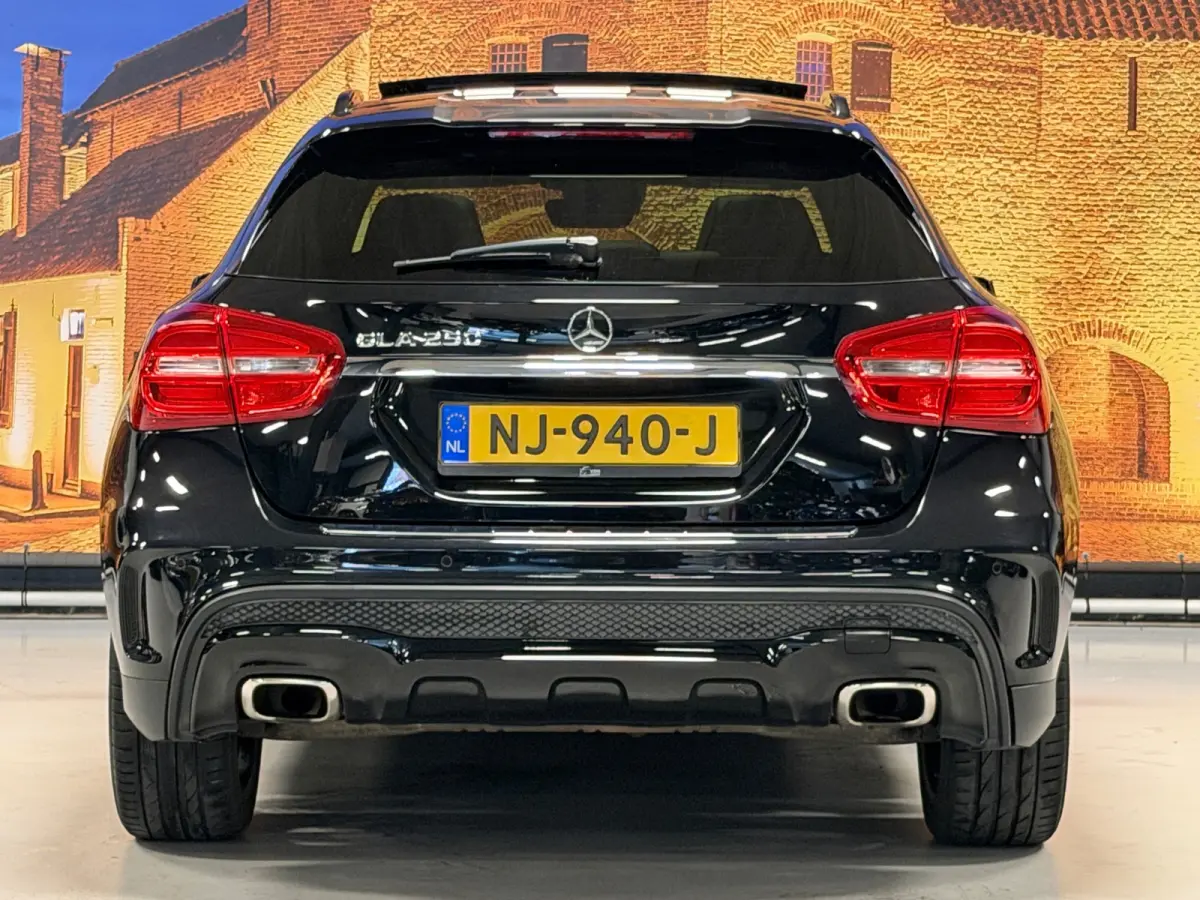 250 AMG Aut Panodak Leer H/K Camera