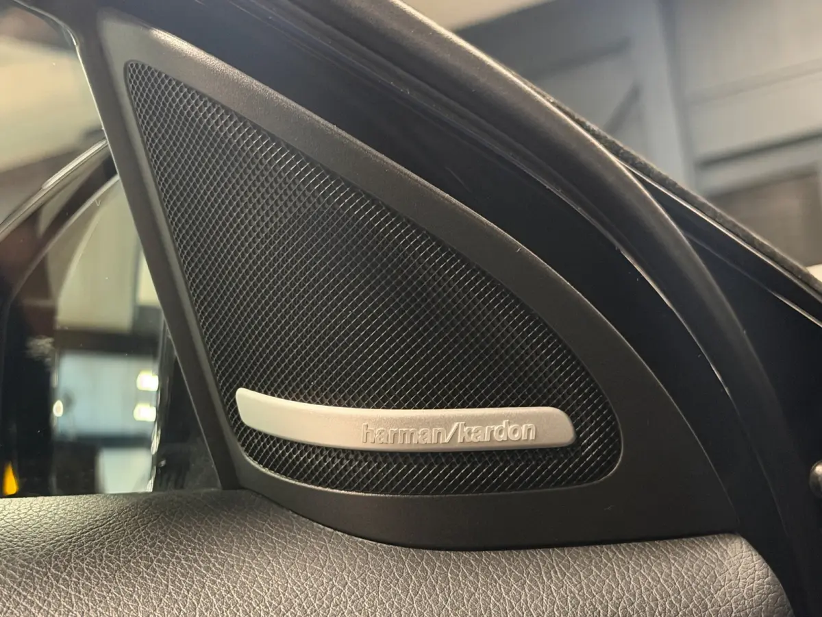 250 AMG Aut Panodak Leer H/K Camera