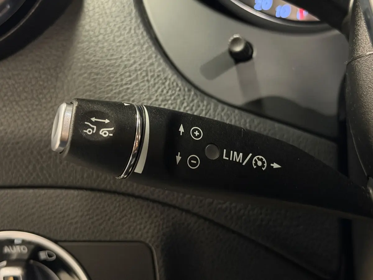 250 AMG Aut Panodak Leer H/K Camera