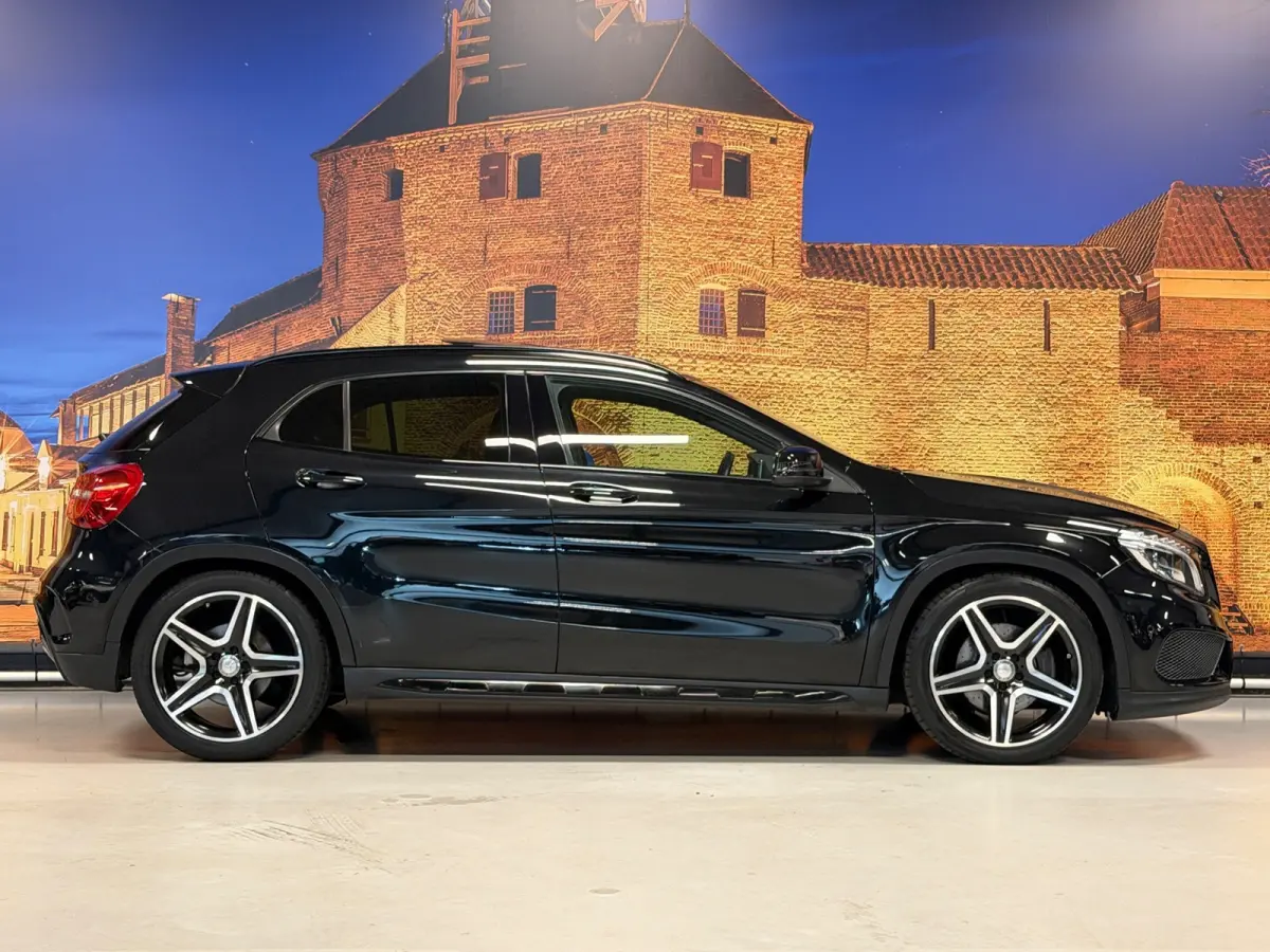 250 AMG Aut Panodak Leer H/K Camera