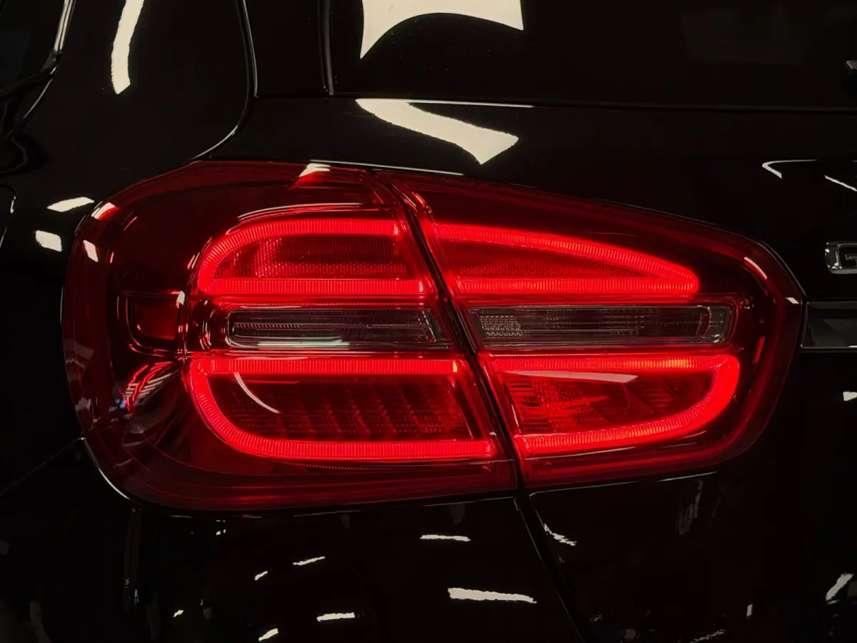 250 AMG Aut Panodak Leer H/K Camera