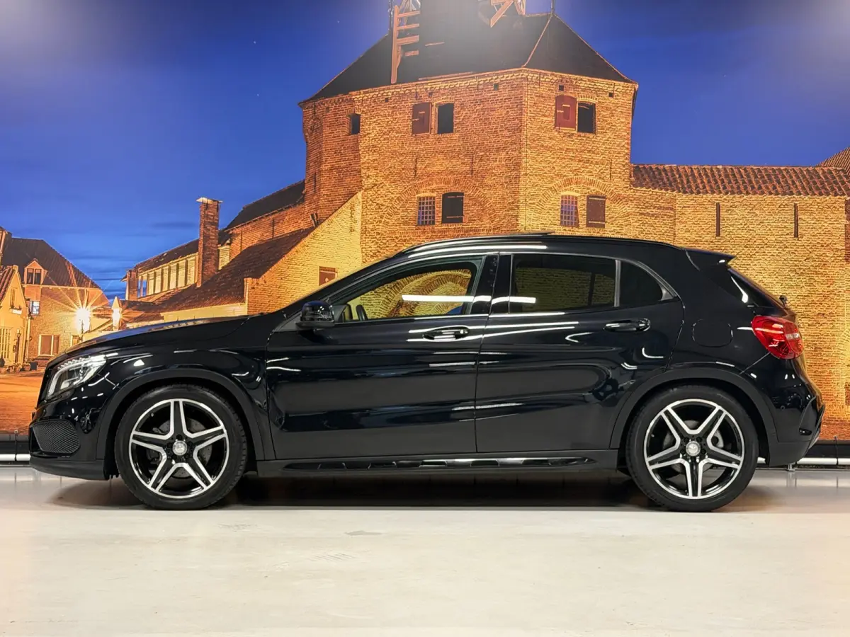 250 AMG Aut Panodak Leer H/K Camera