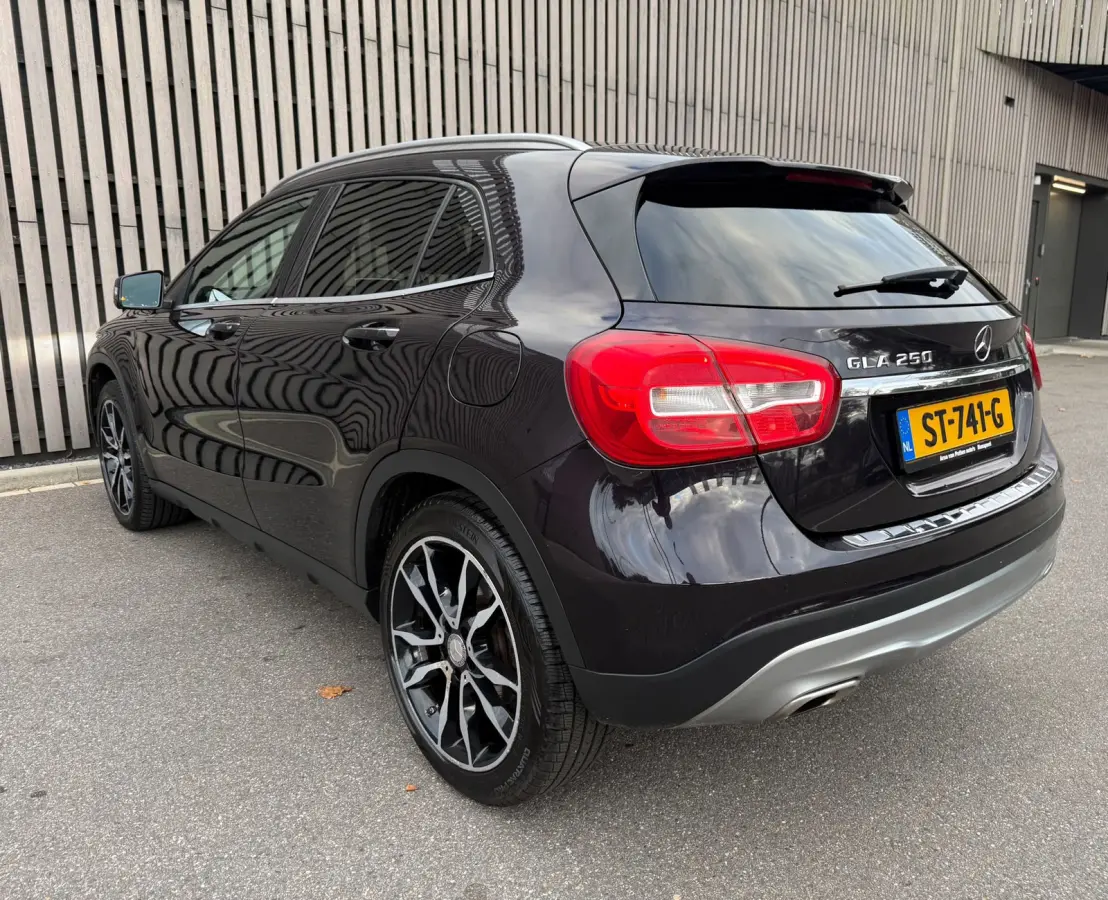 250 4Matic Prestige / Leer / Panodak / Camera / Trekhaak