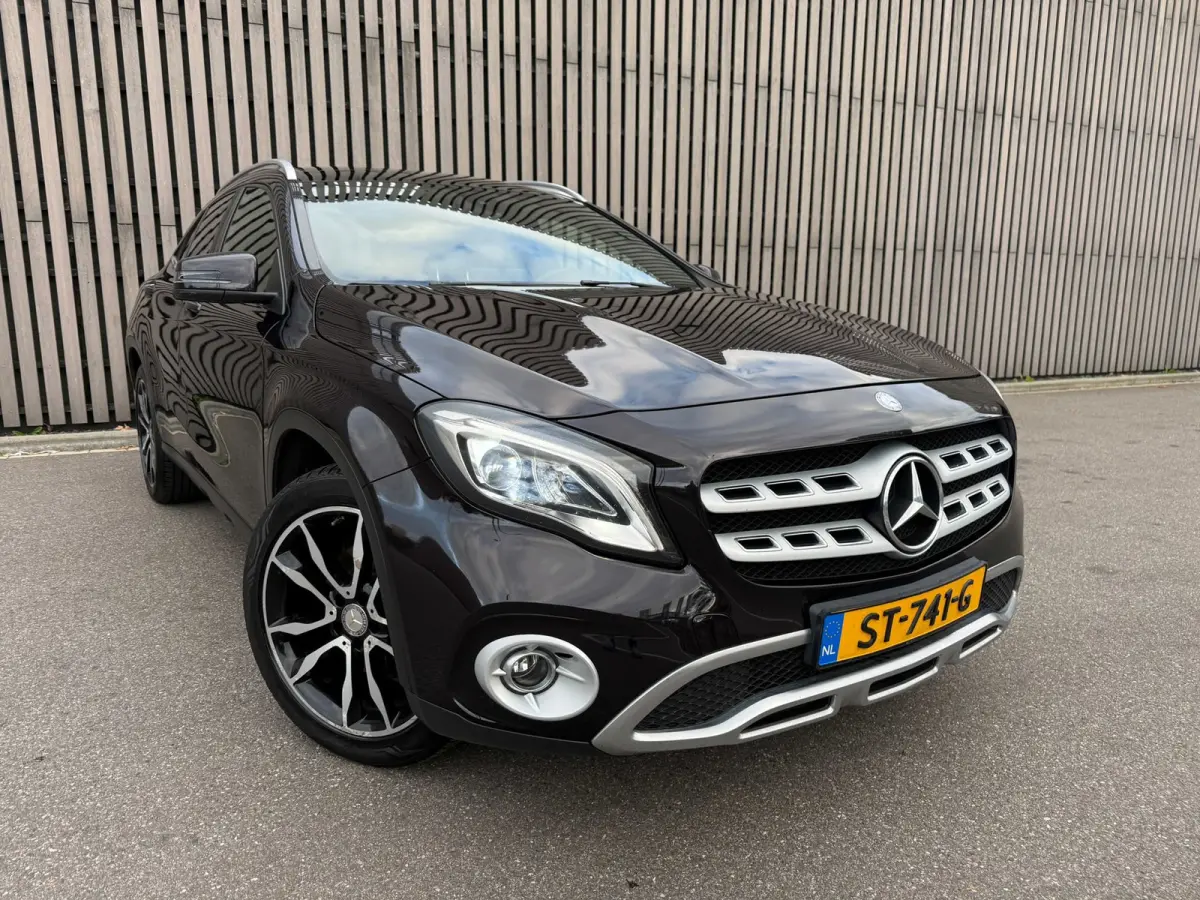 250 4Matic Prestige / Leer / Panodak / Camera / Trekhaak