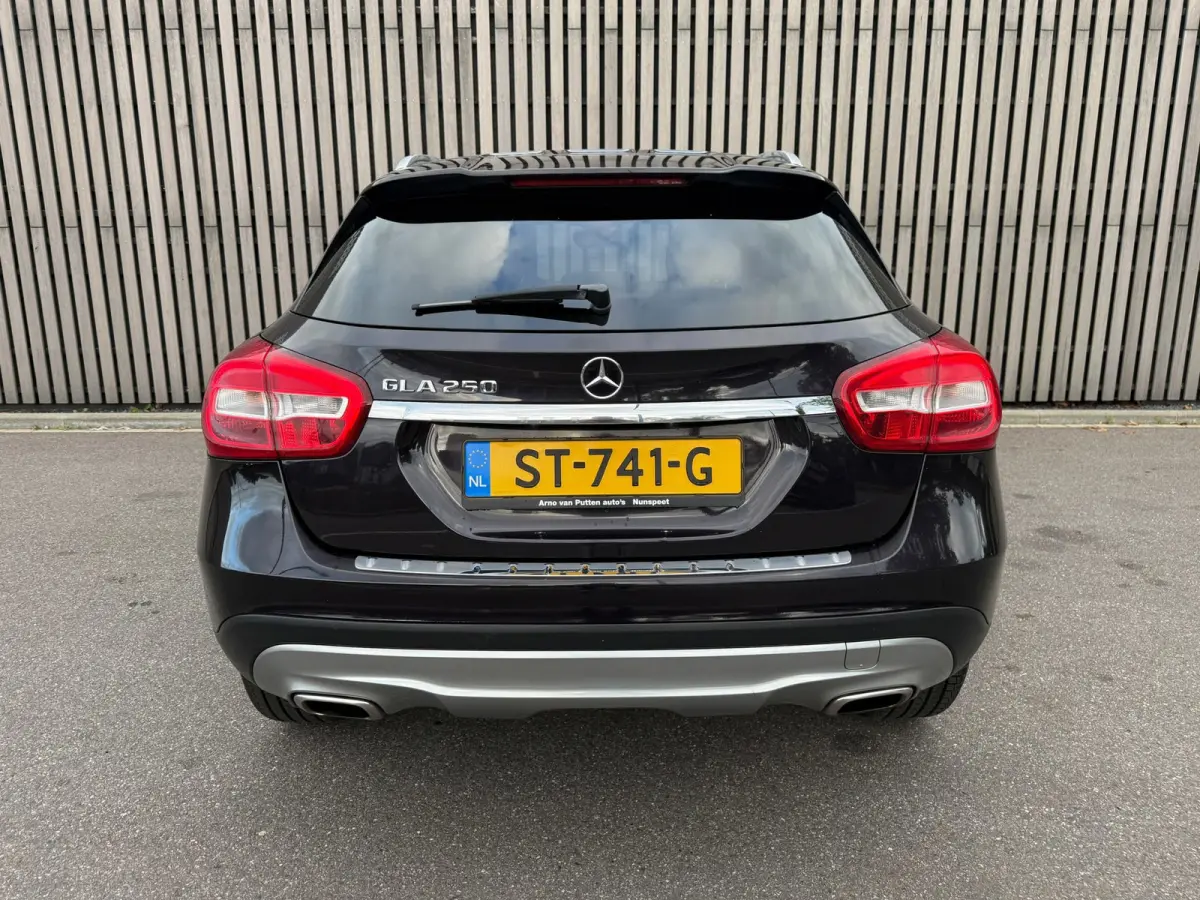 250 4Matic Prestige / Leer / Panodak / Camera / Trekhaak
