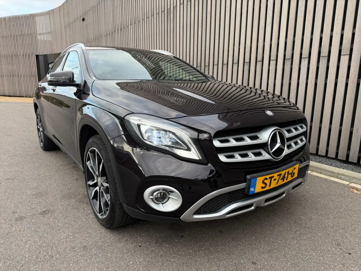 250 4Matic Prestige / Leer / Panodak / Camera / Trekhaak