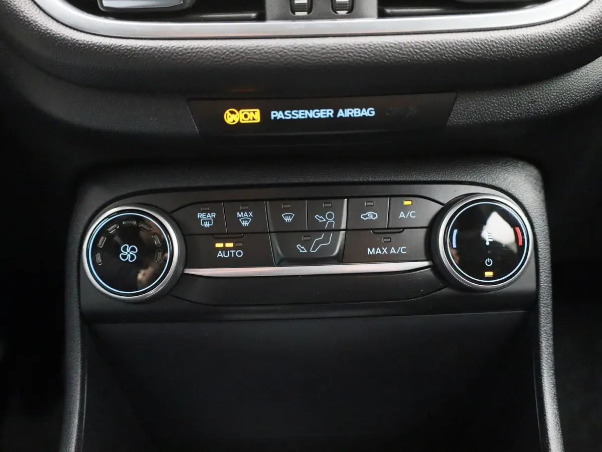 1.0 EcoBoost Hybrid Titanium | PDC Achter | Cruise Control | Elektrische Ramen |
