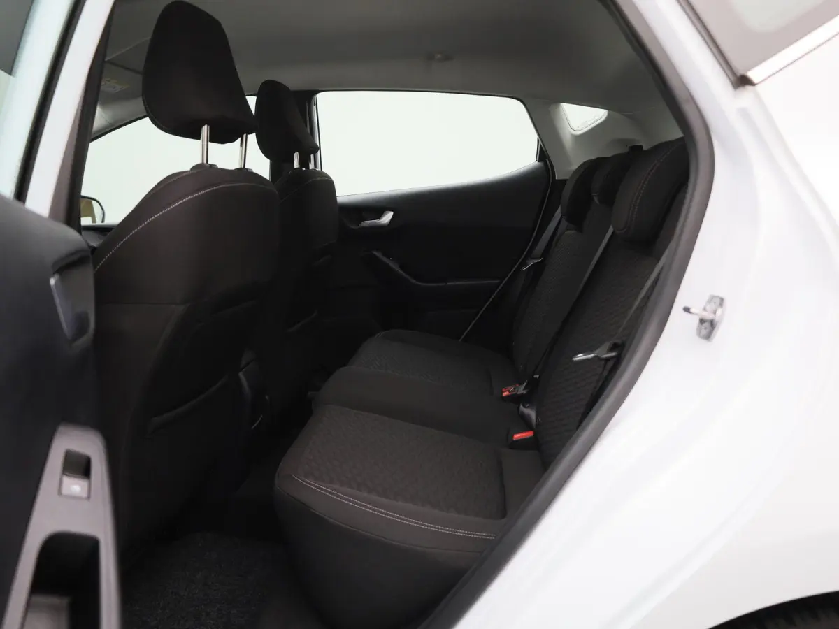 1.0 EcoBoost Hybrid Titanium | PDC Achter | Cruise Control | Elektrische Ramen |