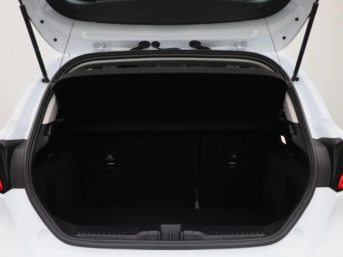 1.0 EcoBoost Hybrid Titanium | PDC Achter | Cruise Control | Elektrische Ramen |