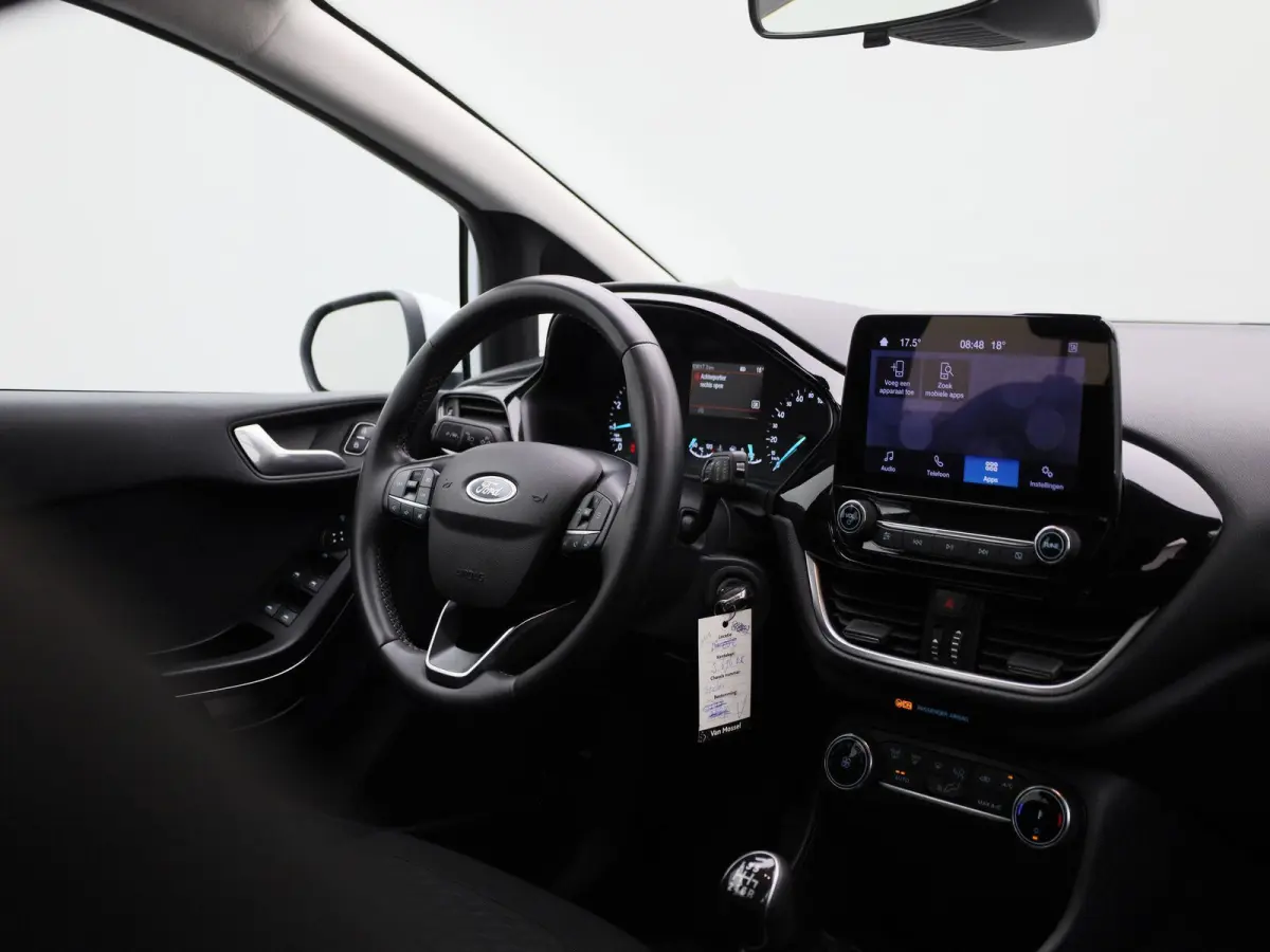 1.0 EcoBoost Hybrid Titanium | PDC Achter | Cruise Control | Elektrische Ramen |