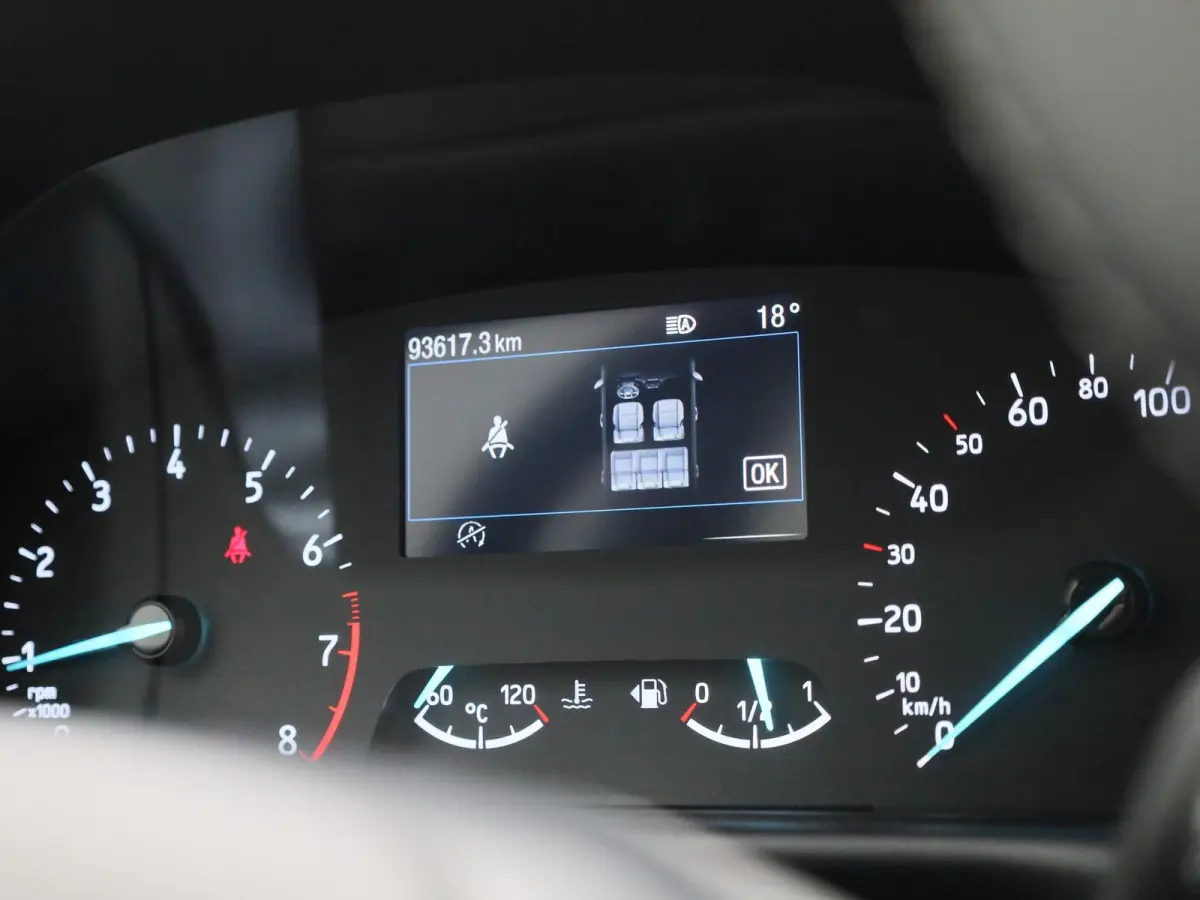 1.0 EcoBoost Hybrid Titanium | PDC Achter | Cruise Control | Elektrische Ramen |