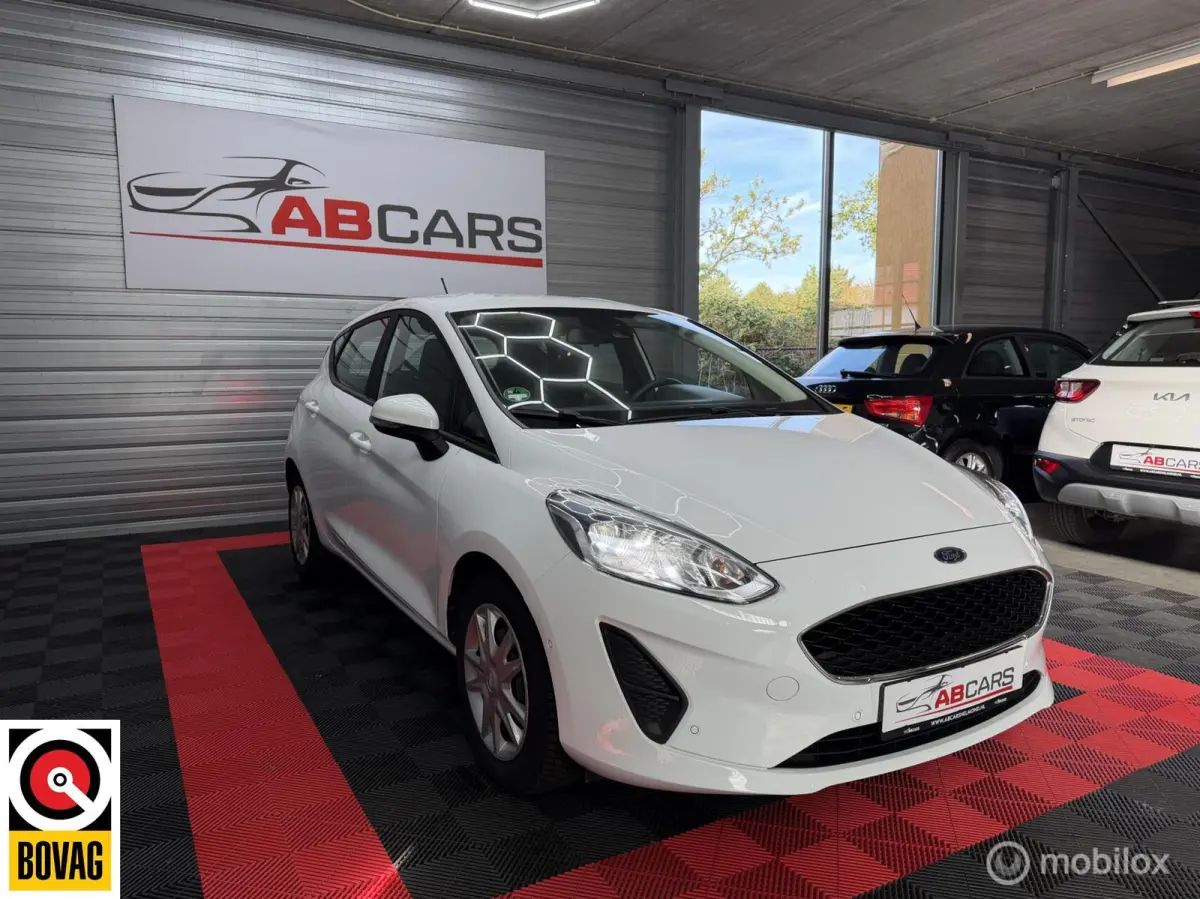 1.0 EcoBoost Connected met Distributieketting