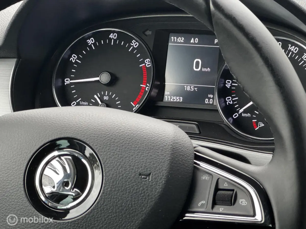 1.0 TSI 110PK DSG Style Business