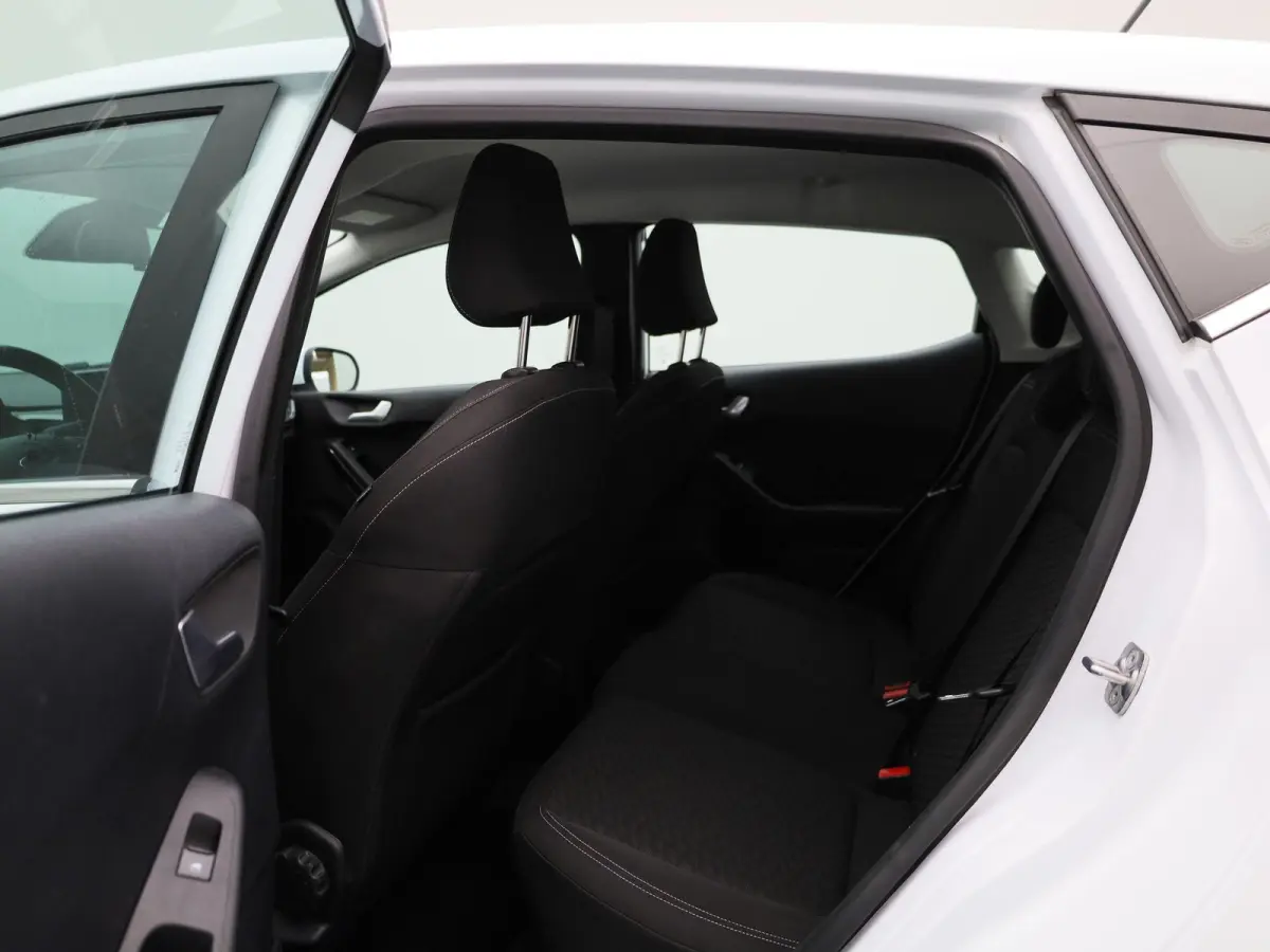 1.0 EcoBoost Hybrid Titanium | PDC Achter | Cruise Control | Elektrische Ramen |
