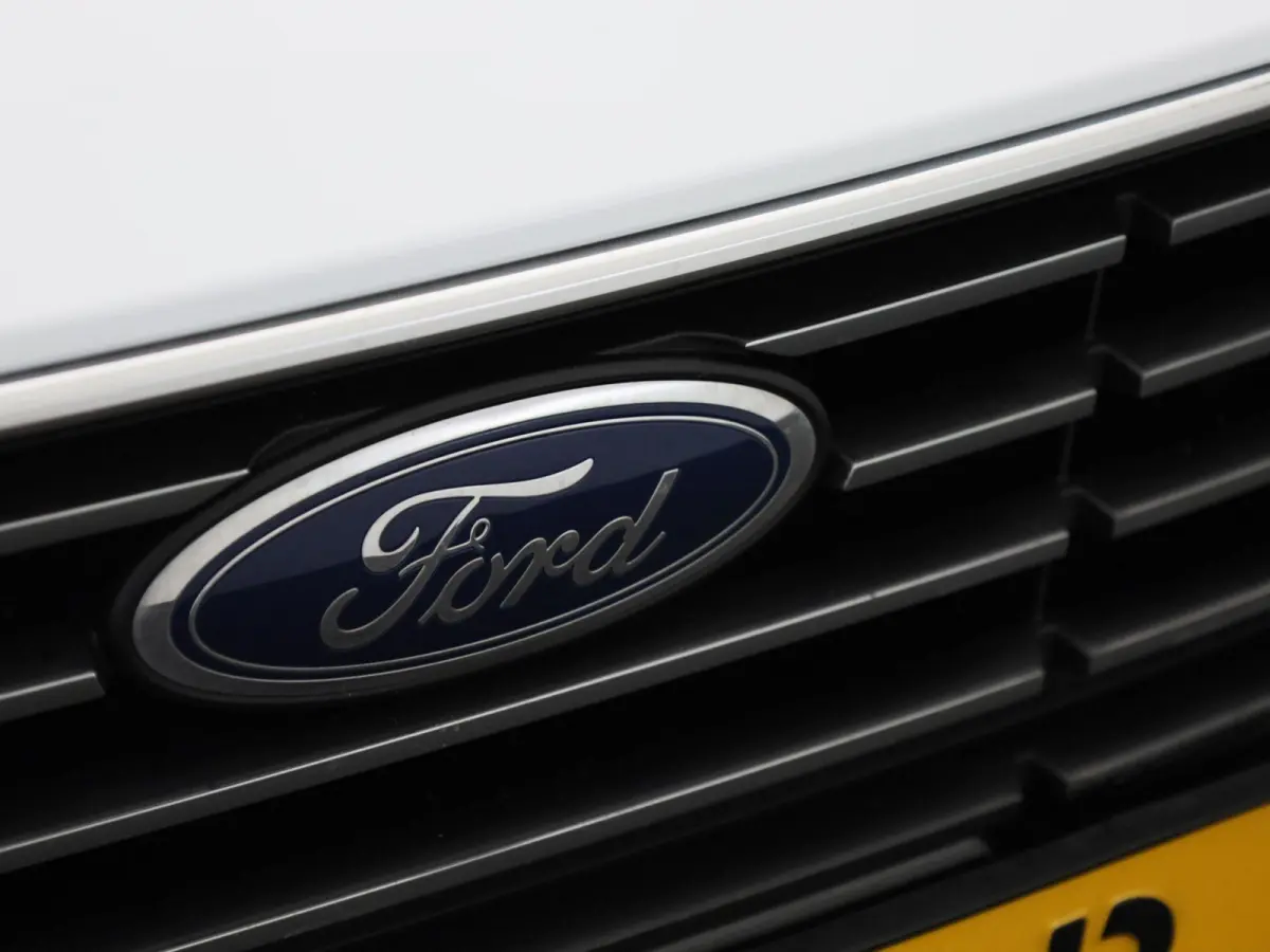 1.0 EcoBoost Hybrid Titanium | PDC Achter | Cruise Control | Elektrische Ramen |