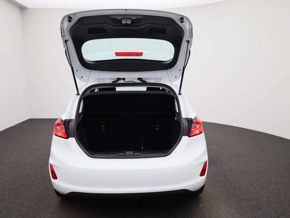 1.0 EcoBoost Hybrid Titanium | PDC Achter | Cruise Control | Elektrische Ramen |