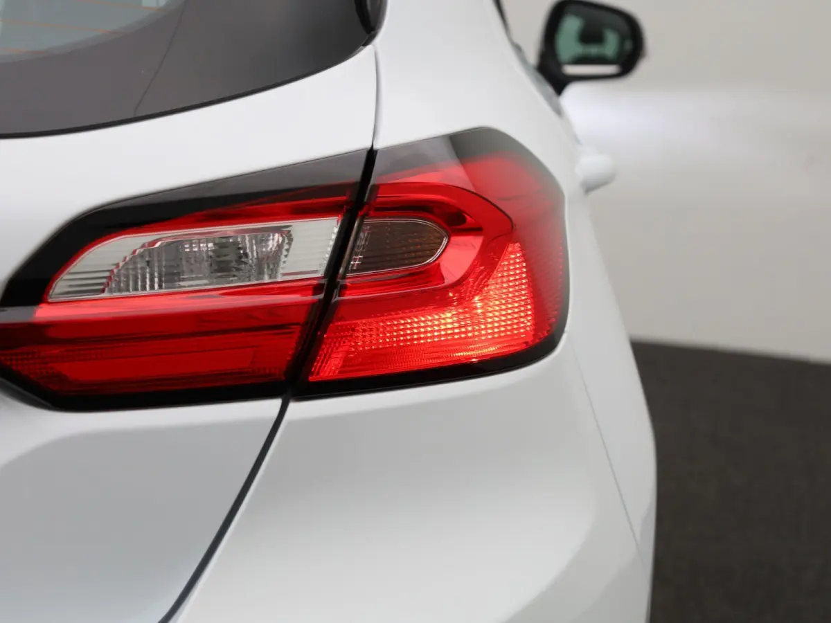 1.0 EcoBoost Hybrid Titanium | PDC Achter | Cruise Control | Elektrische Ramen |