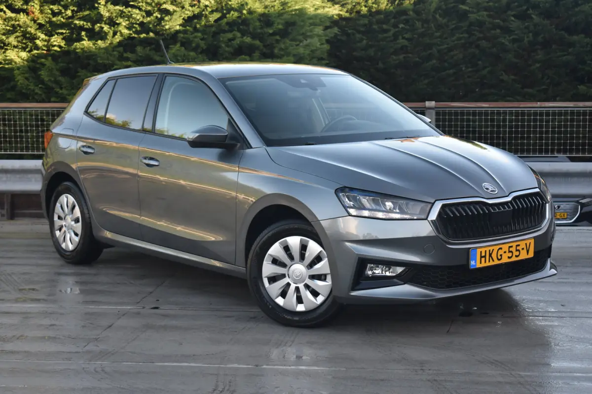 1.0 95PK TSI Selection |
