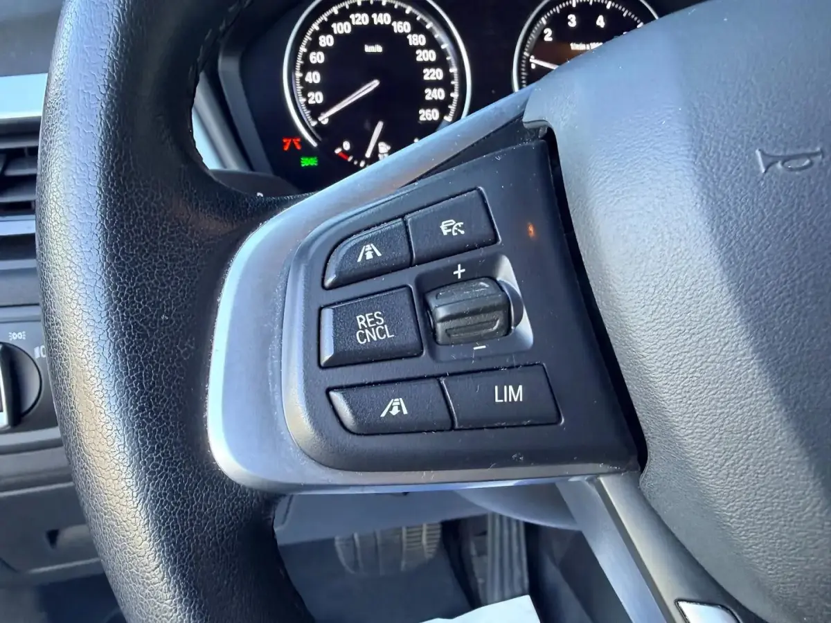 xDrive25e Executive TREKHAAK / CARPLAY / CAMERA / AIRCO / CRUISE CONTROLE / PHEV