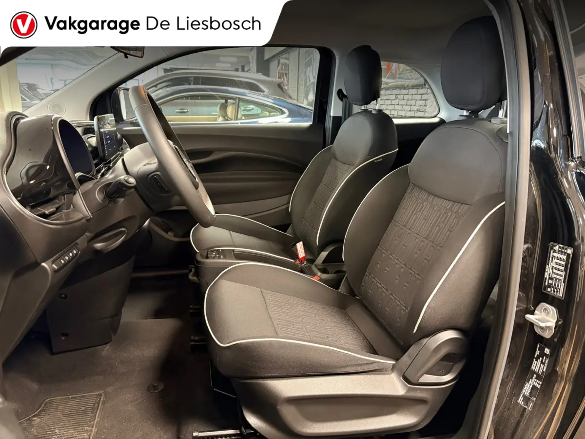 42 kWh /Icon/ airco / carplay