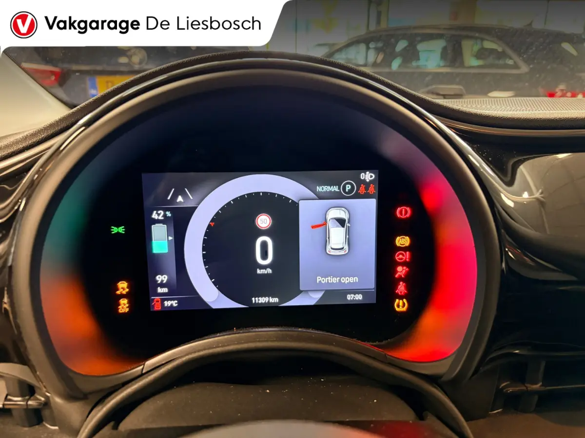 42 kWh /Icon/ airco / carplay