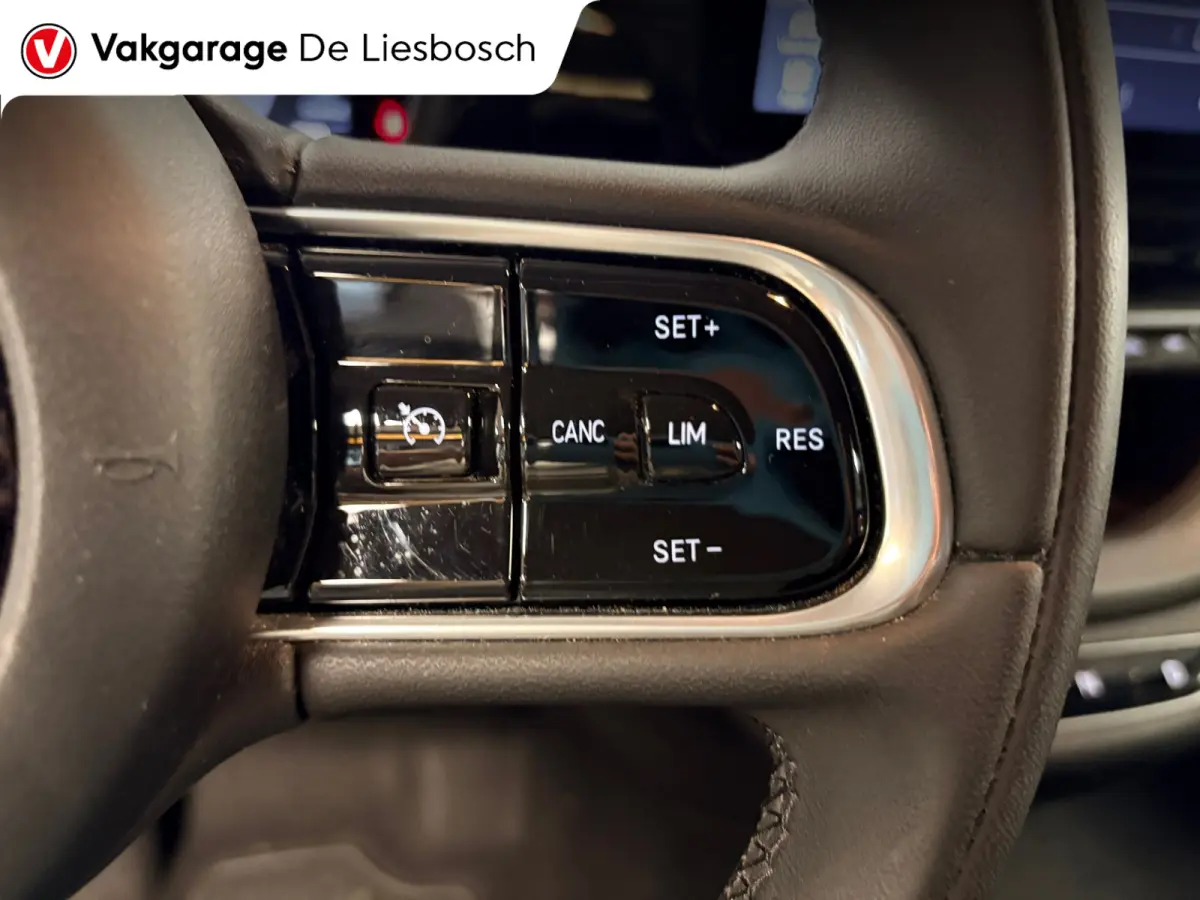 42 kWh /Icon/ airco / carplay